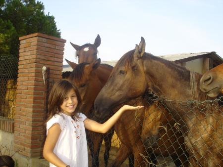 moi entrain de denner a manger a un cheval